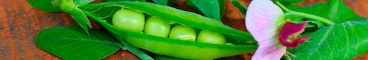Pea: Sow and Grow Guide