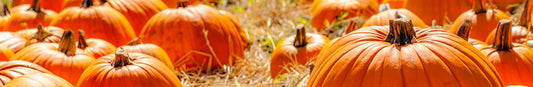 Pumpkin: Sow and Grow Guide