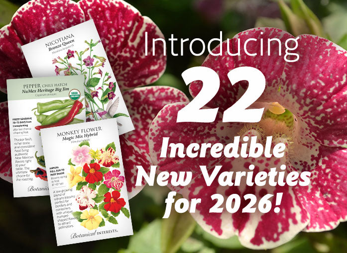 2026 New Varieties