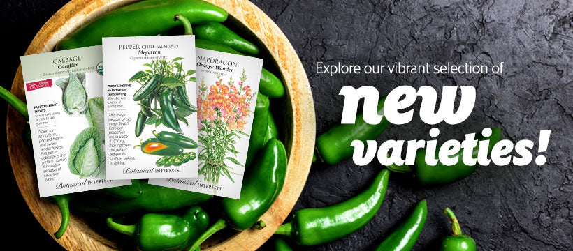 Our New Varieties for 2024