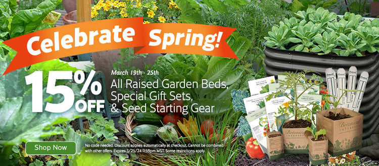 Spring Fling Sale