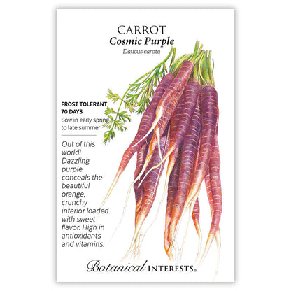 Cosmic Purple Carrot Seeds