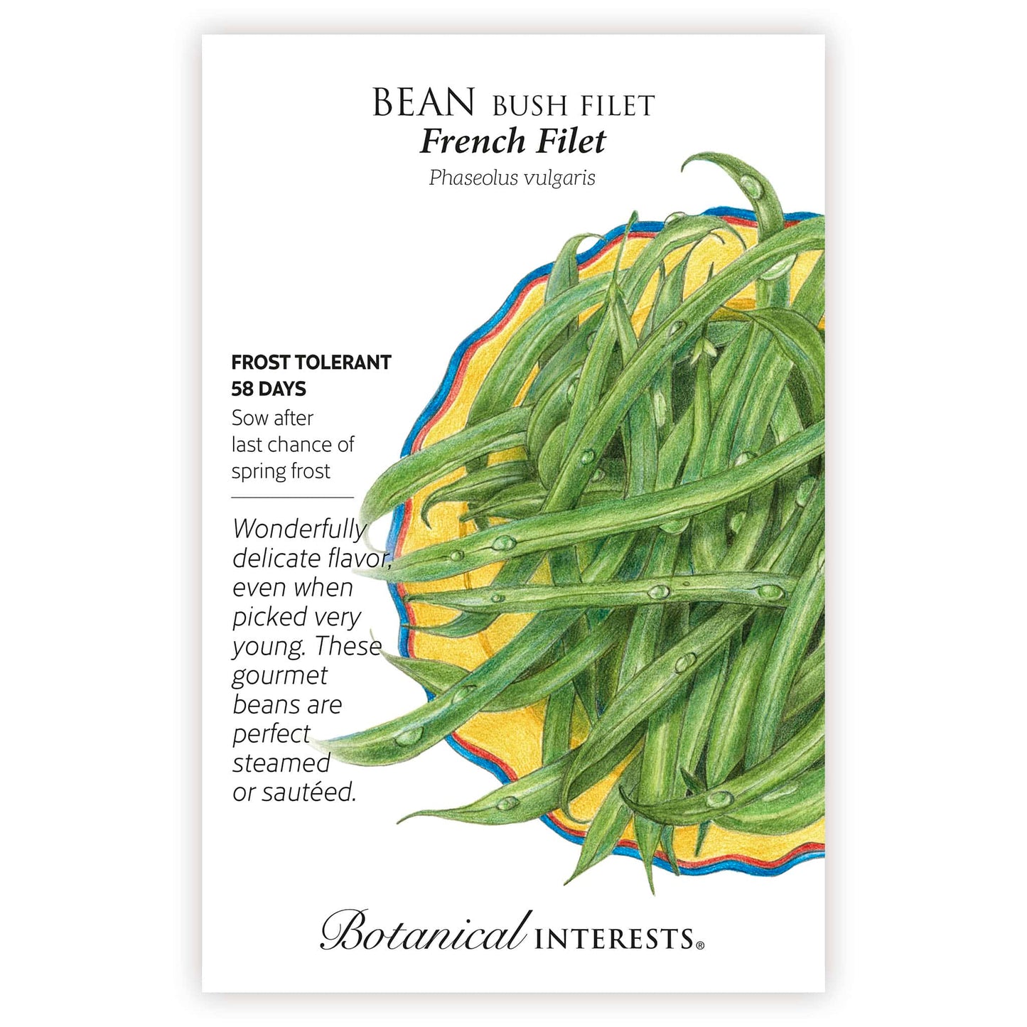 French Filet Bush Bean Seeds