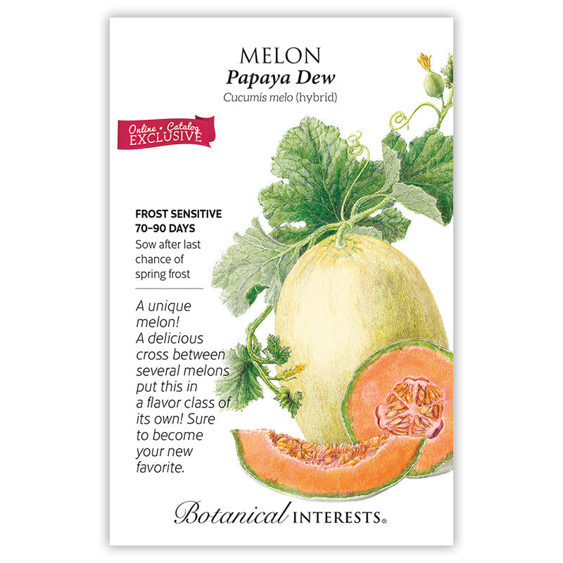 Papaya Dew Melon Seeds