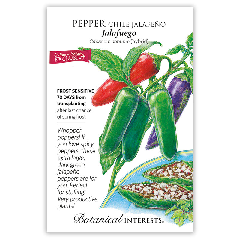 Jalafuego Jalapeño Chile Pepper Seeds