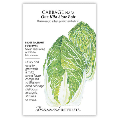 One Kilo Slow Bolt Napa Cabbage Seeds