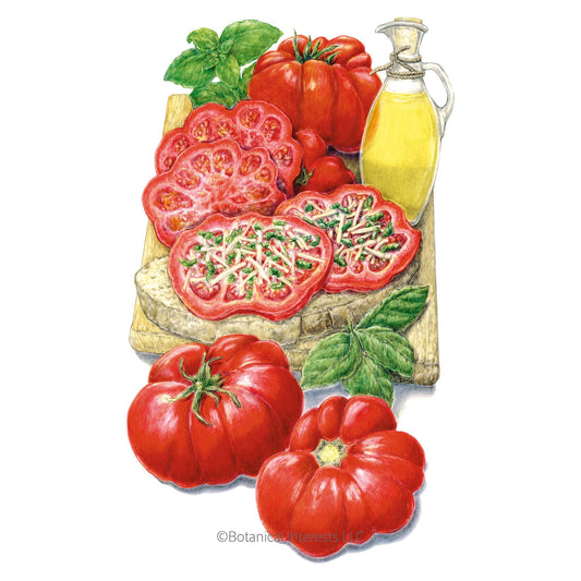 Costoluto Genovese Pole Tomato Seeds