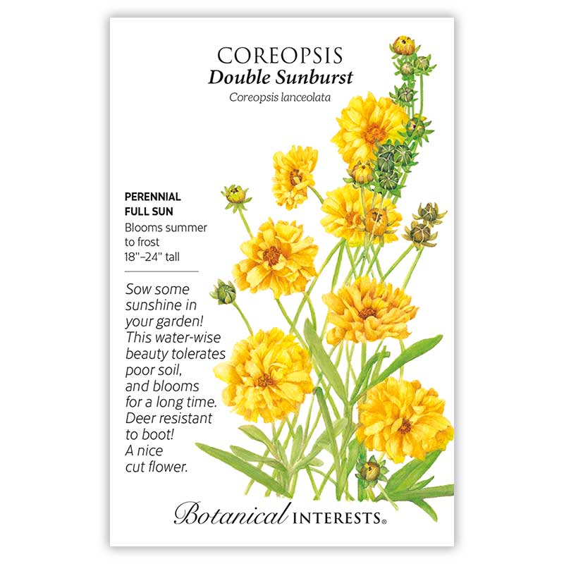Drought-Tolerant Flower Gift Set