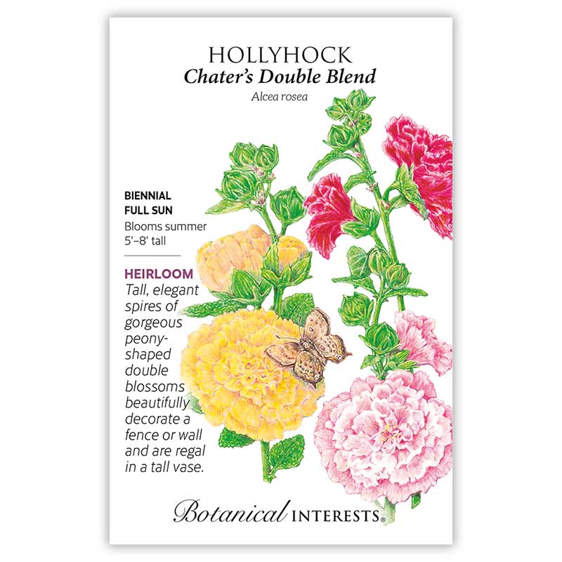 Chater's  Double Hollyhock Seeds