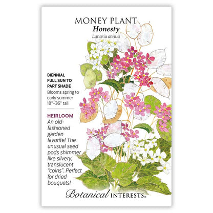 Honesty Money Plant Seeds