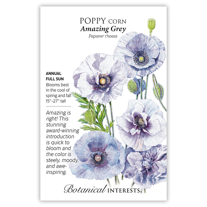 Amazing Grey Corn Poppy Seeds