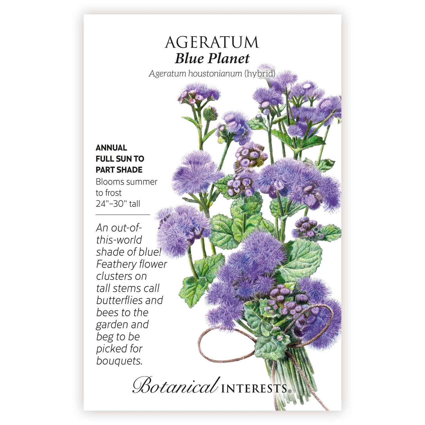 Blue Planet Ageratum Seeds