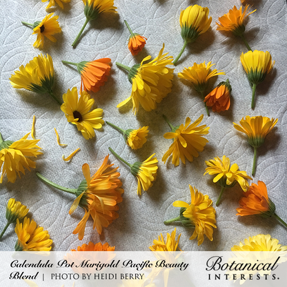 Pacific Beauty Blend Calendula (Pot Marigold) Seeds