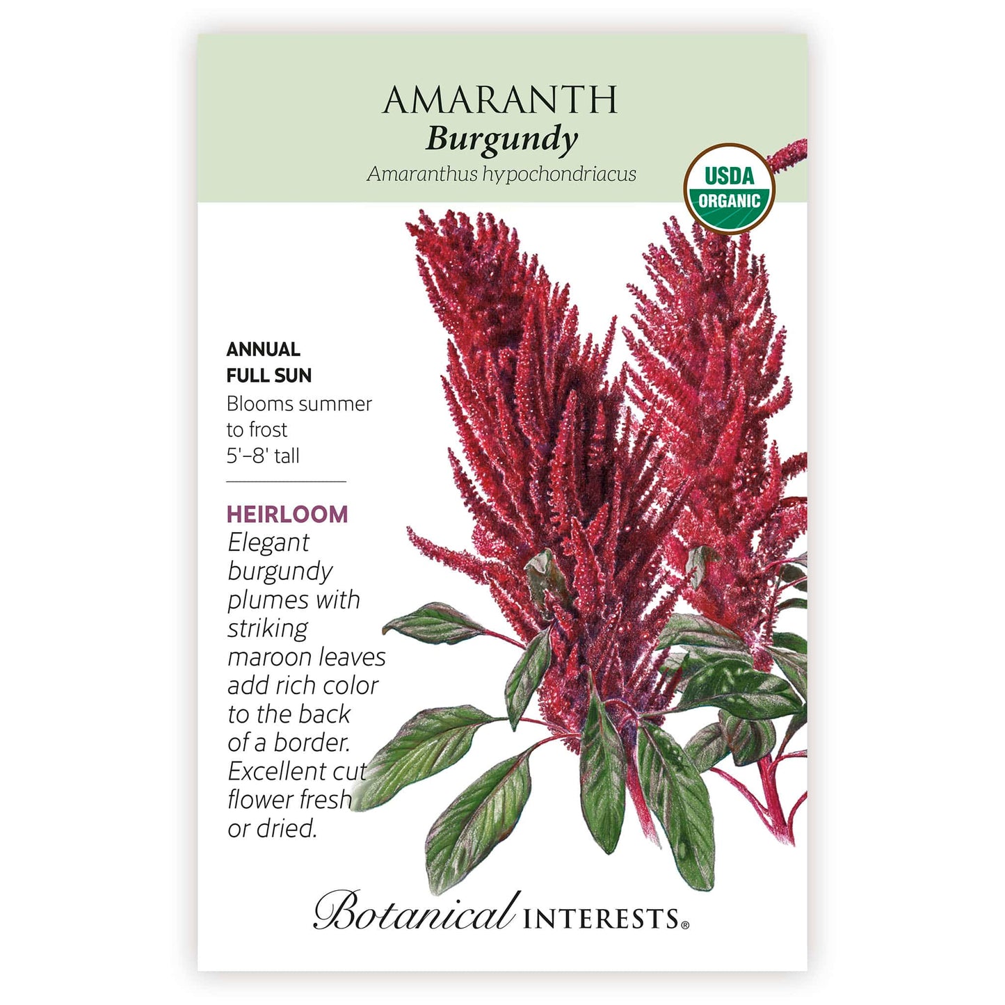 Burgundy Amaranth Seeds