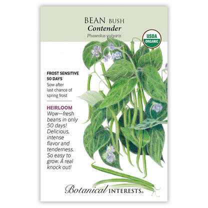 Contender Bush Bean Seeds