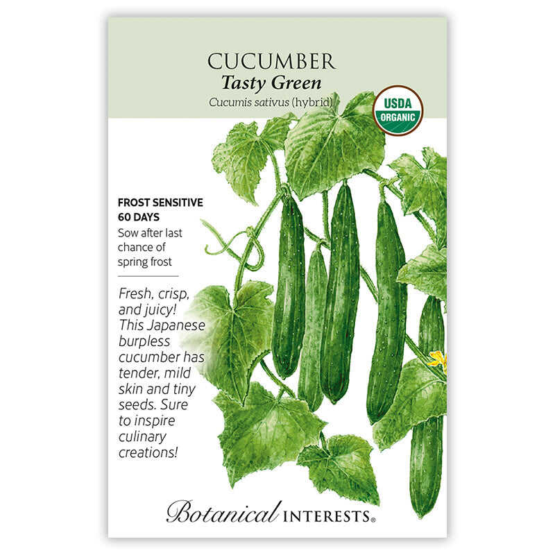 Tasty Green Cucumber Seeds