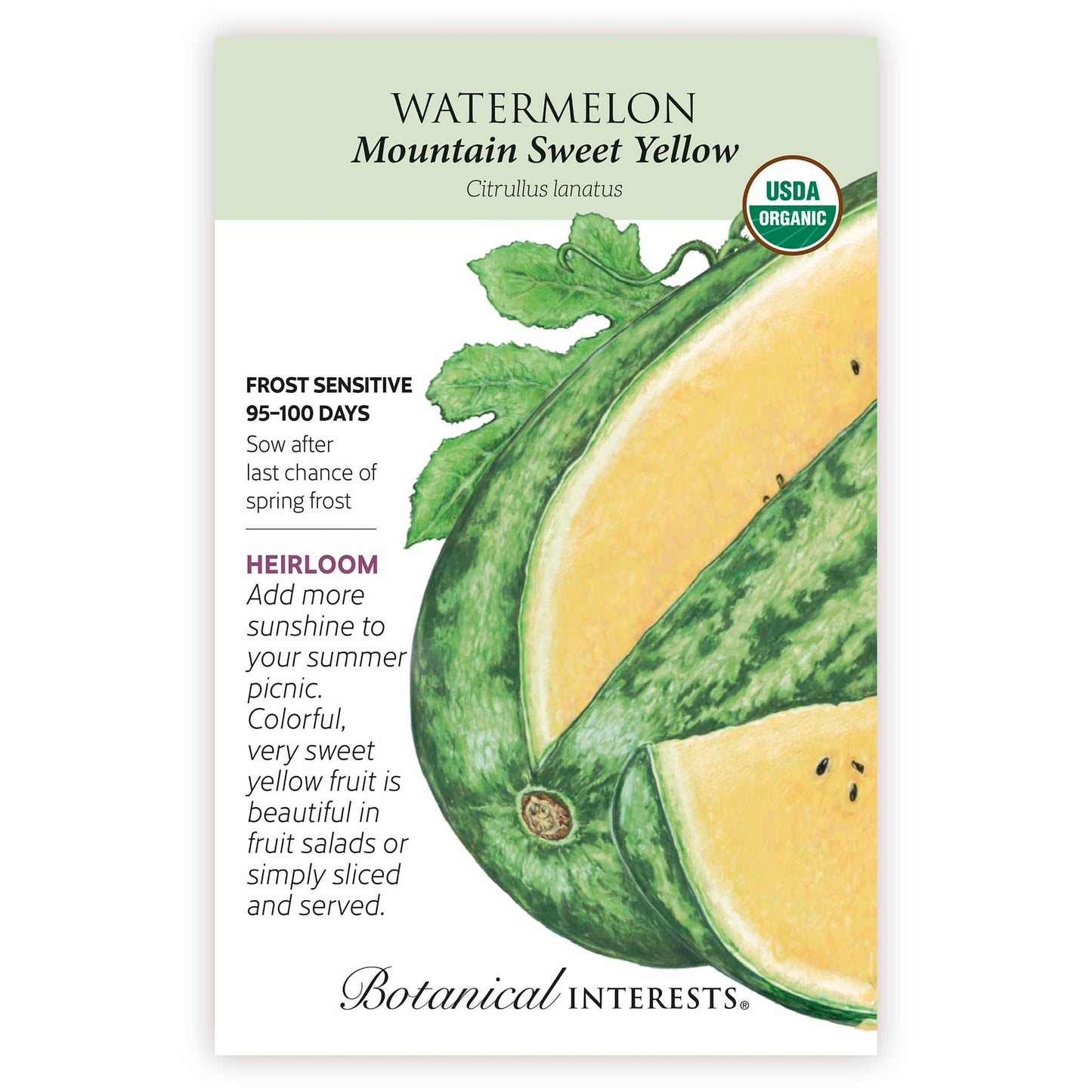 Mountain Sweet Yellow Watermelon Seeds
