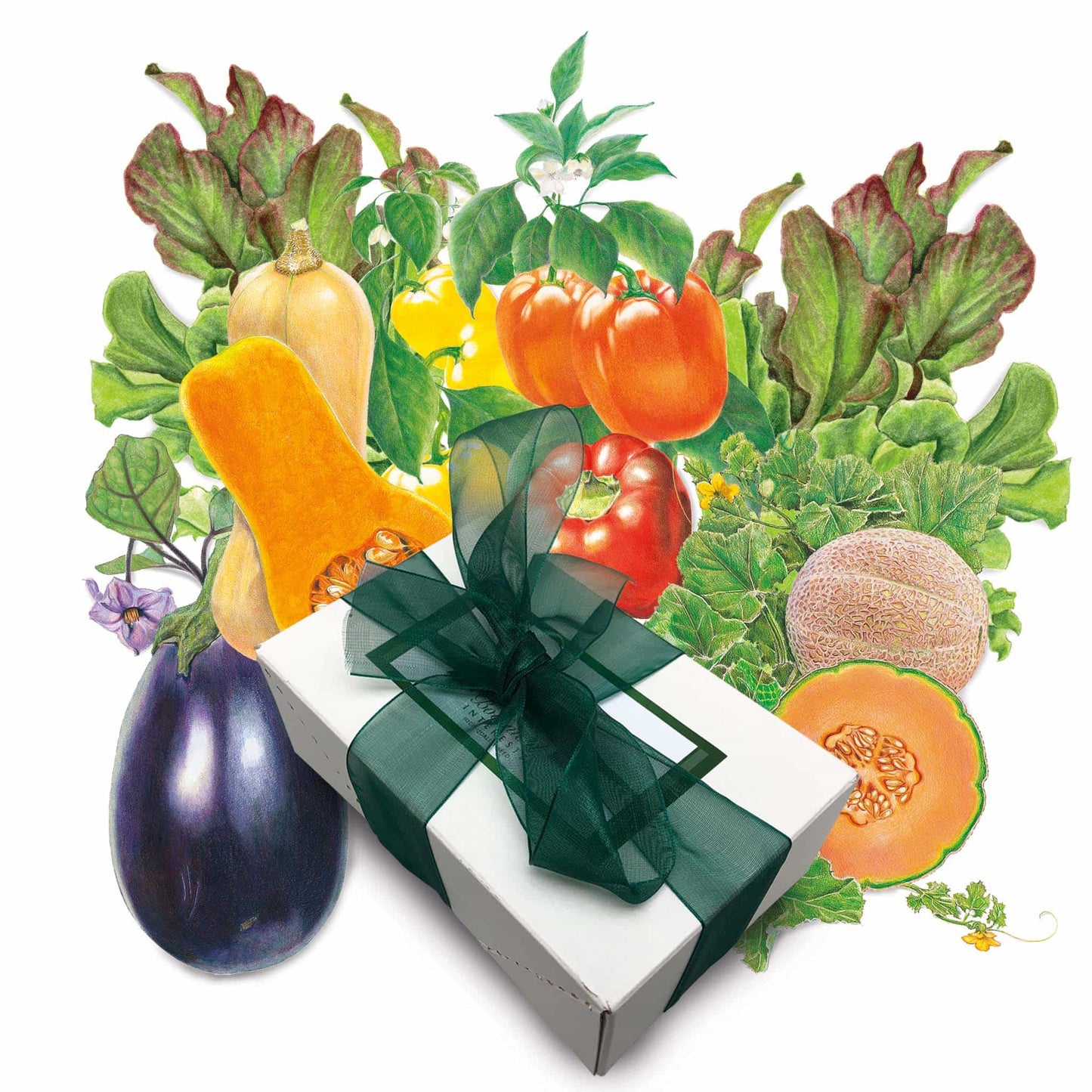 Heat Tolerant Vegetables Gift Set