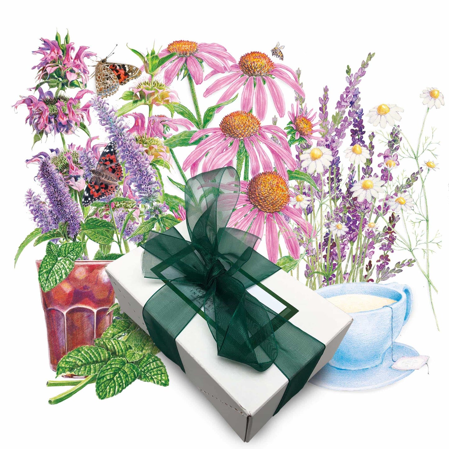 Herbal Tea Gift Set