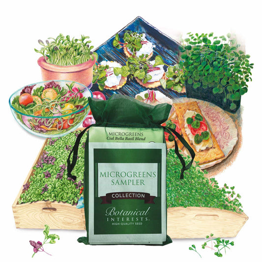 Microgreens Gift Set
