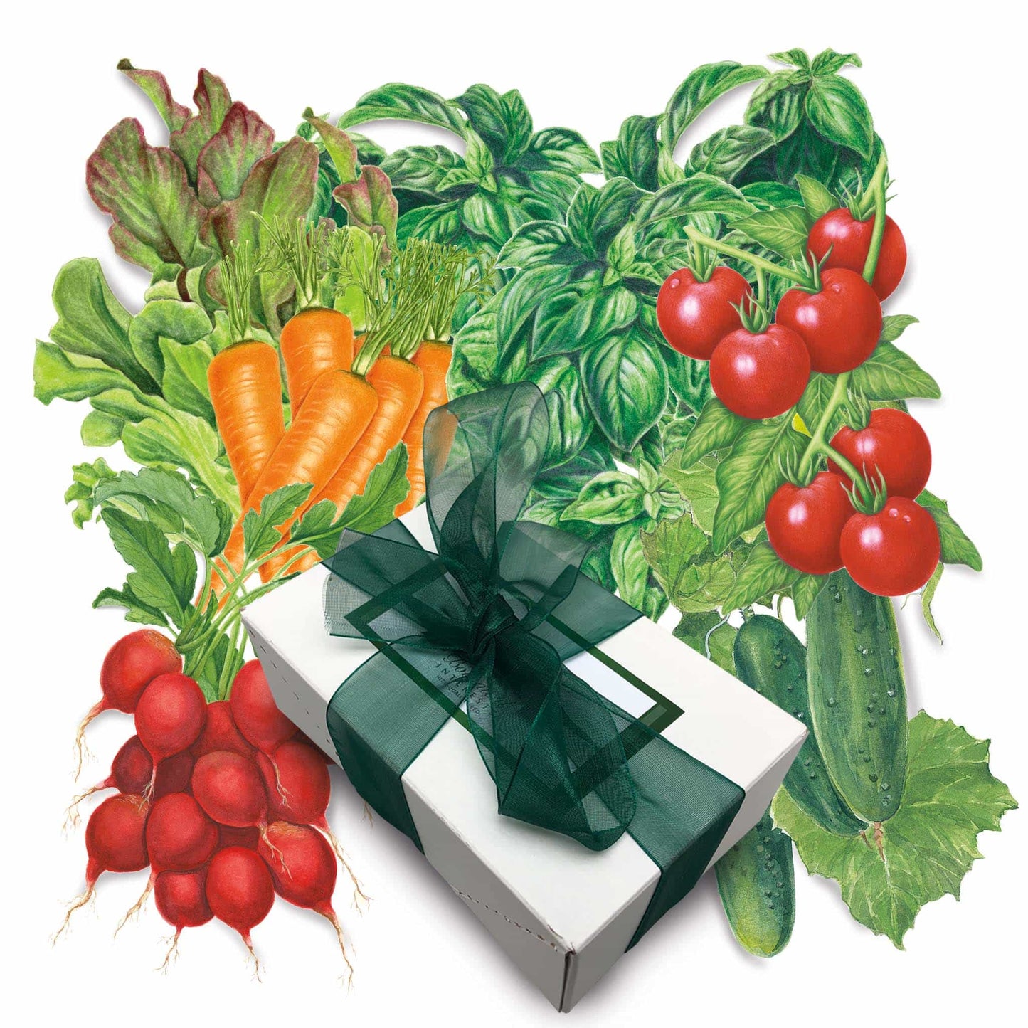 Basic Bounty Vegetable Gift Set