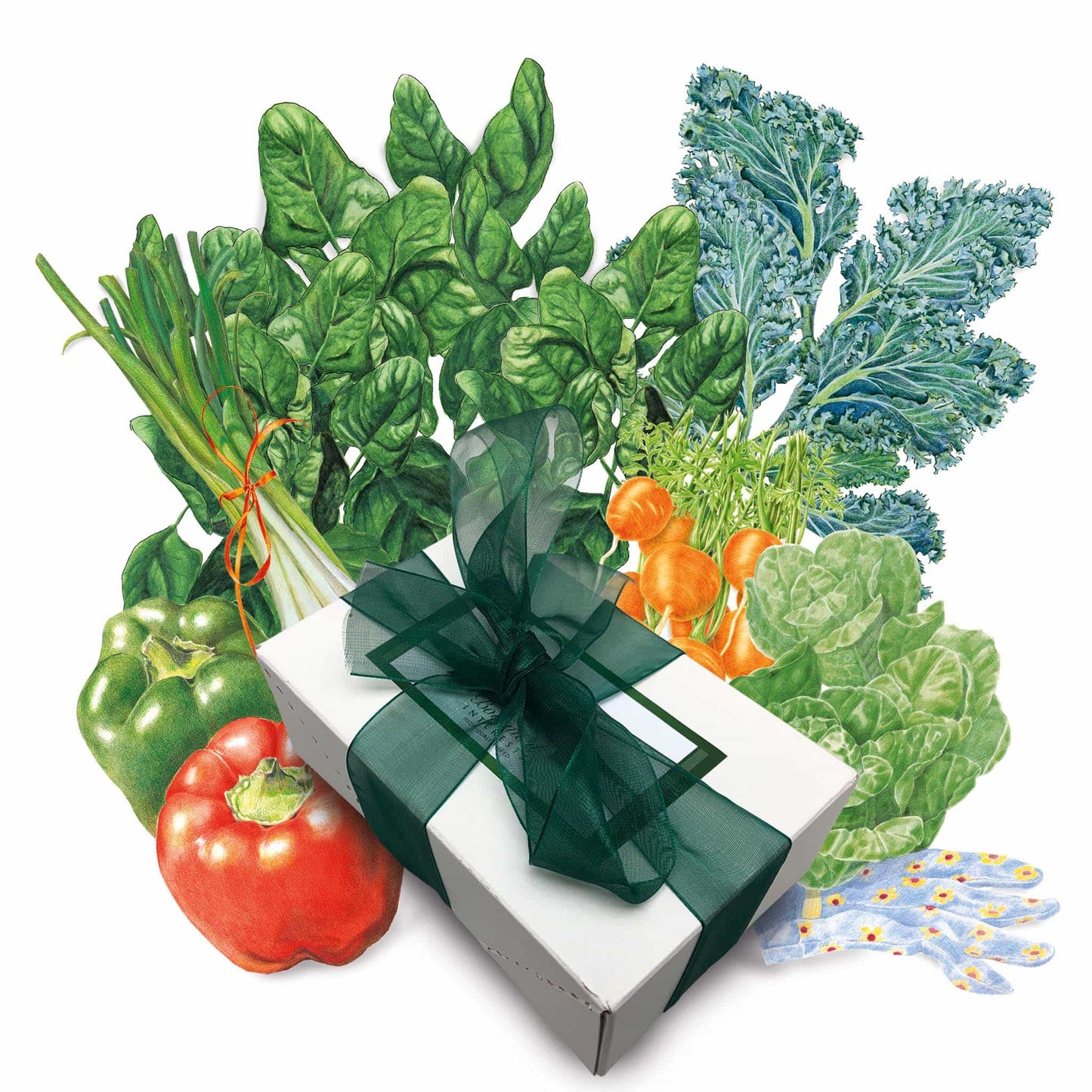Container Vegetable Gift Set