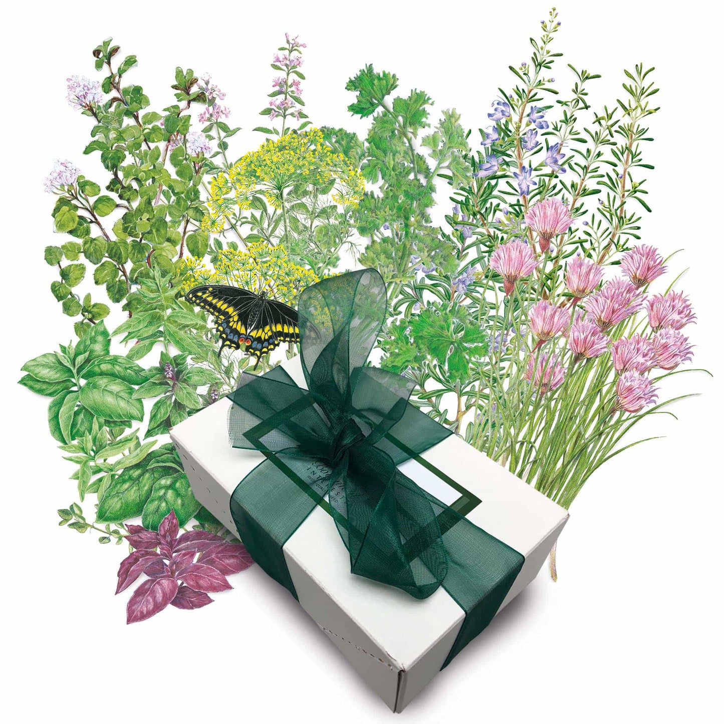 Chefs Herb Garden Gift Set