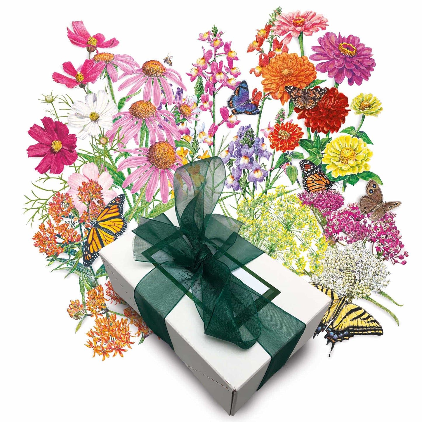 Butterfly Banquet Gift Set
