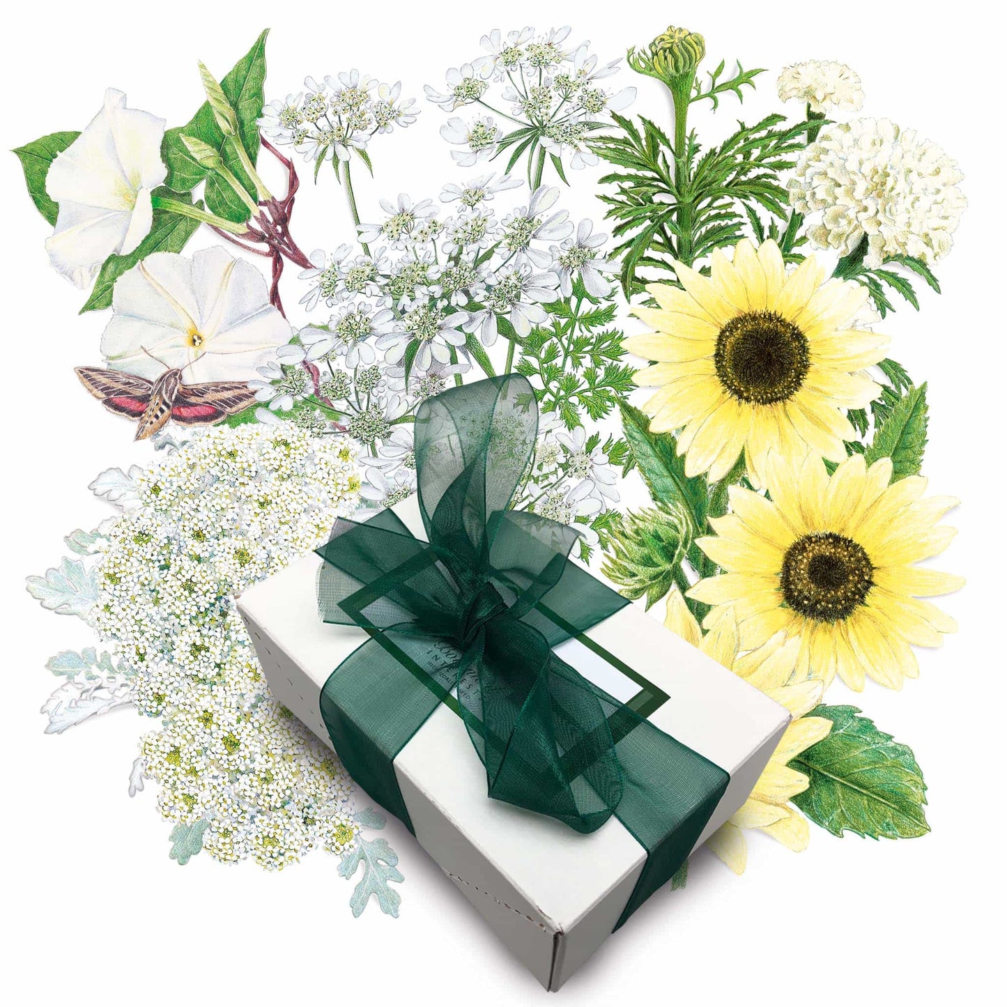 Moon Garden Gift Set