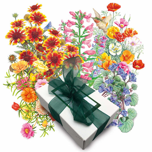 Drought-Tolerant Flower Gift Set
