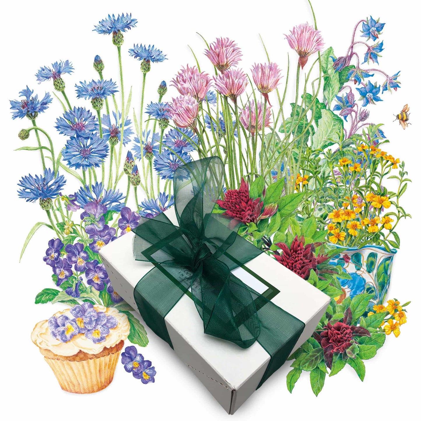 Edible Flowers Gift Set