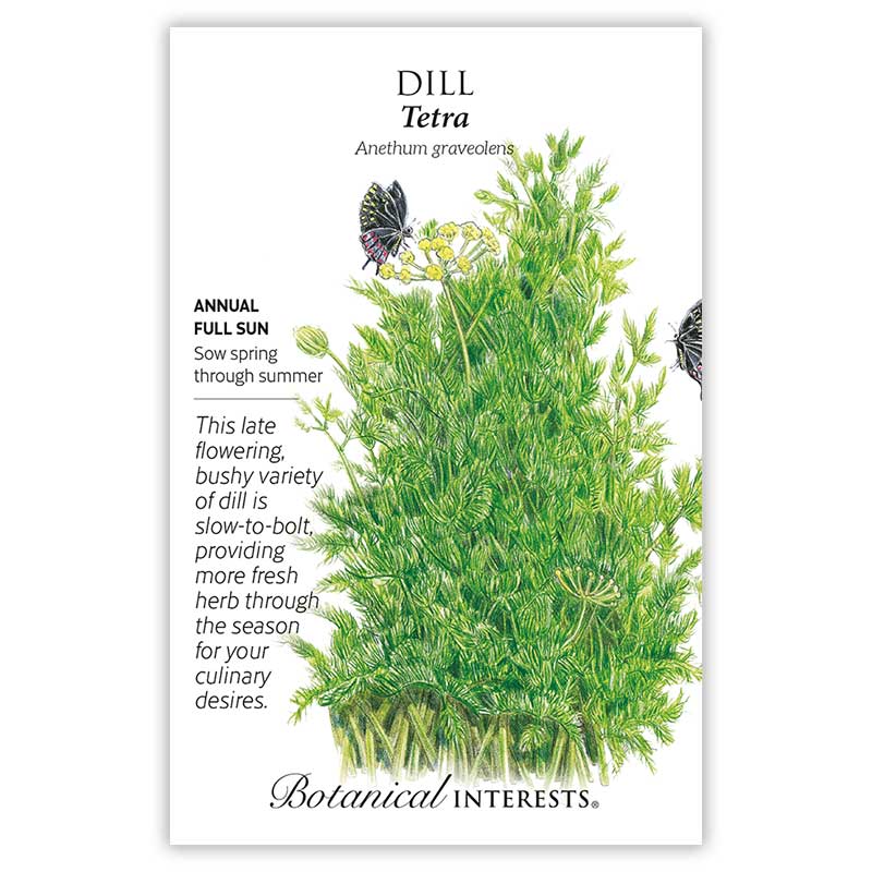 Tetra Dill Seeds