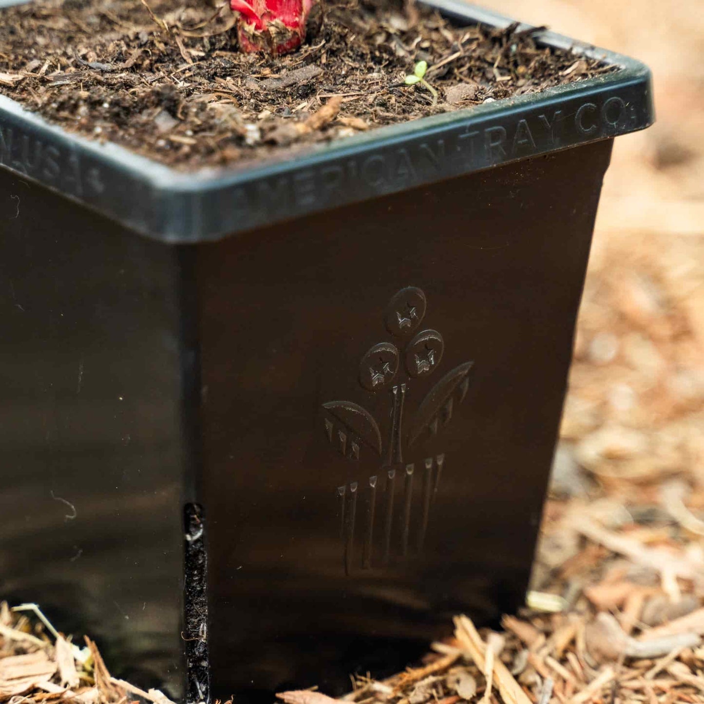 Epic 5” Cube Pot
