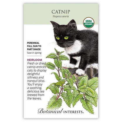 Catnip Seeds