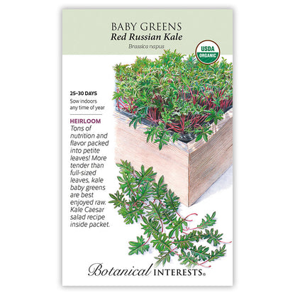 Red Russian Kale Baby Greens Seeds
