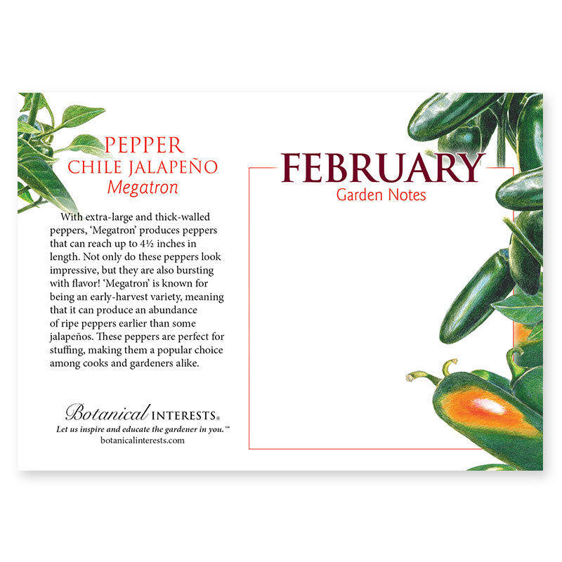 2024 Botanical Interests Desk Calendar