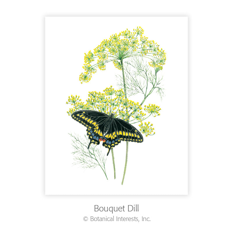 Botanical Art Prints