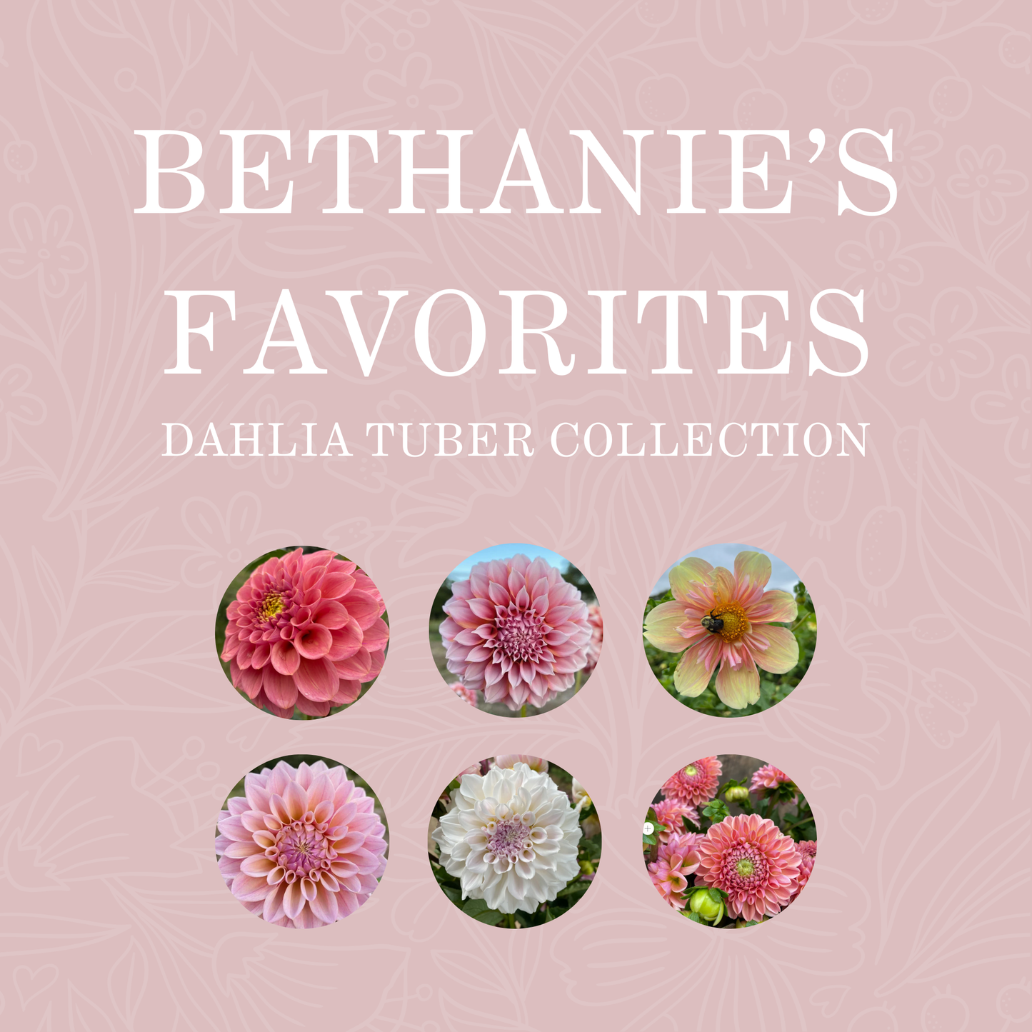 Bethanie's Favorites Collection