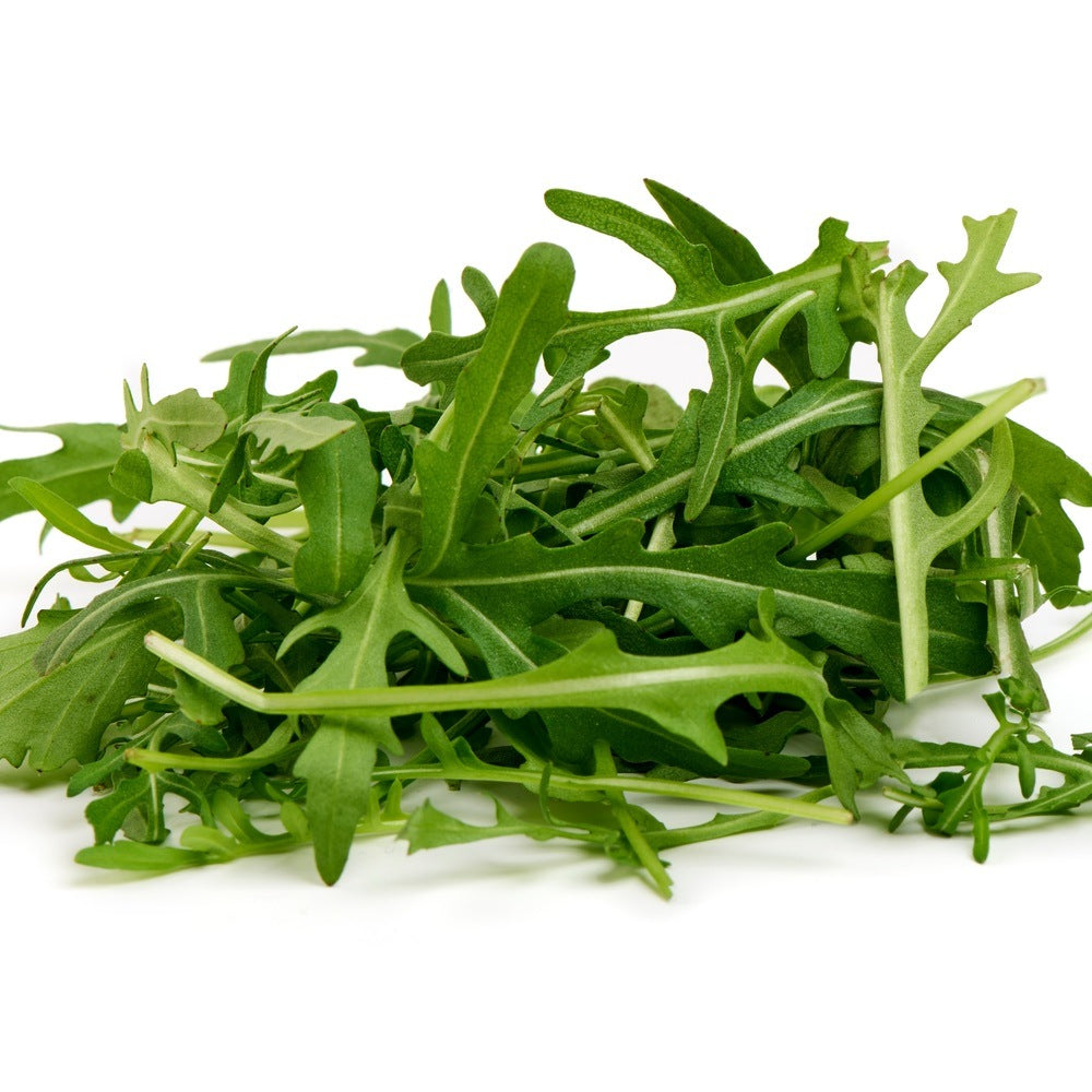 Arugula Baby Greens Seeds