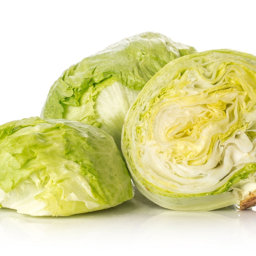 Great Lakes 118 Crisphead Lettuce Seeds