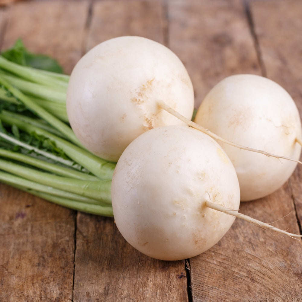 Turnip White Lady
