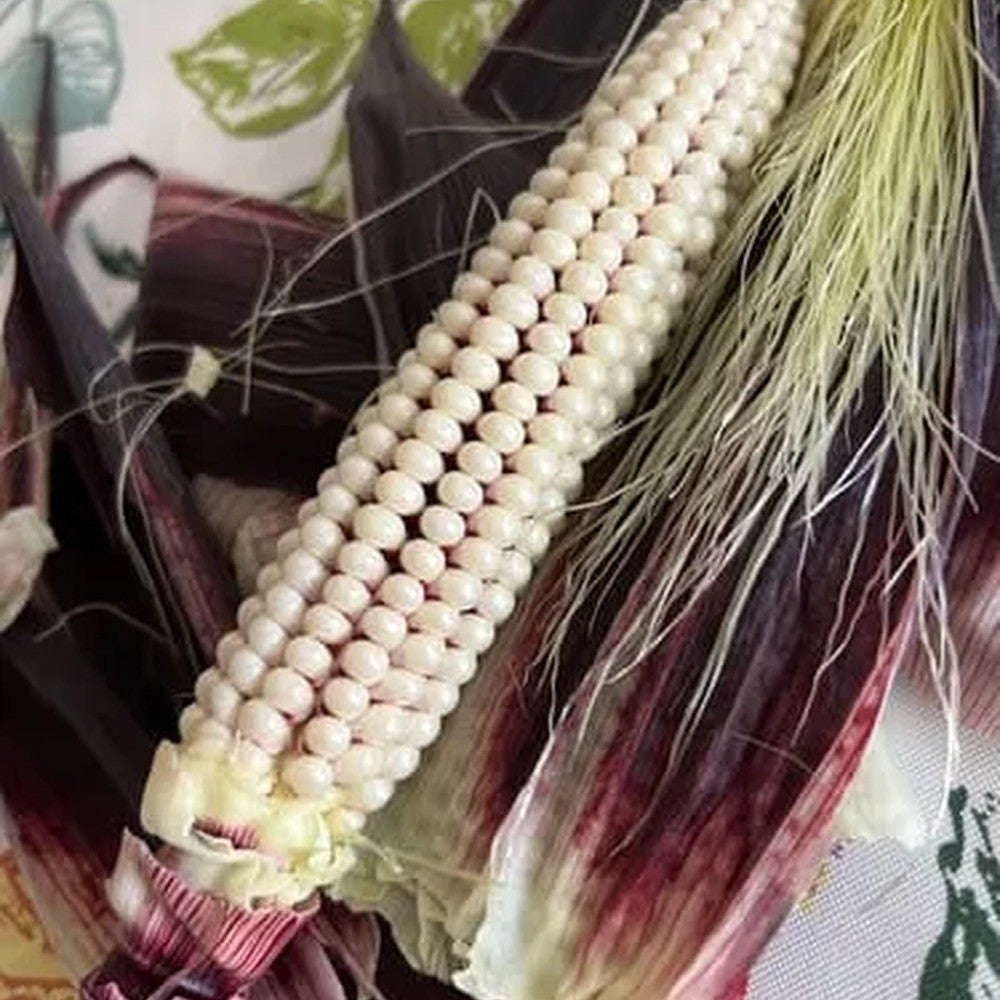 Martian Jewels Sweet Corn Seeds