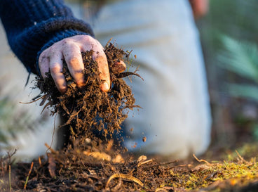 A close-up shot of a kneeling person, in the process of providing compost to dirt, showcasing how to feed your soil microbiome