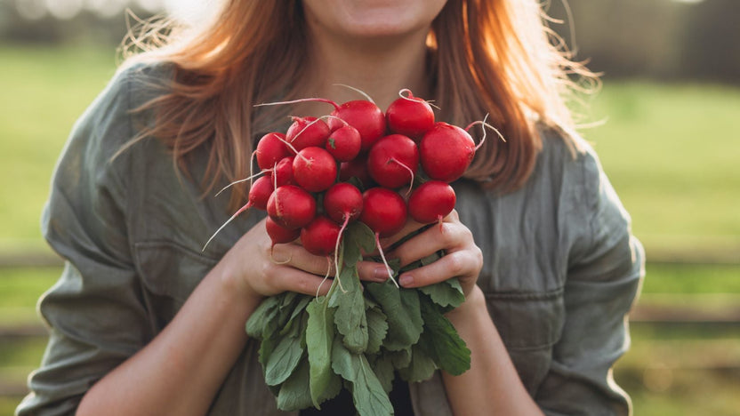 15 Vegetables to Plant in November Based on Frost Date – Botanical ...