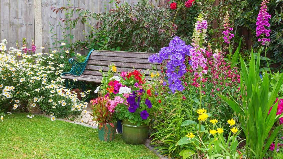 A close-up shot of an area with various flowers that are the seeds cottagecore garden