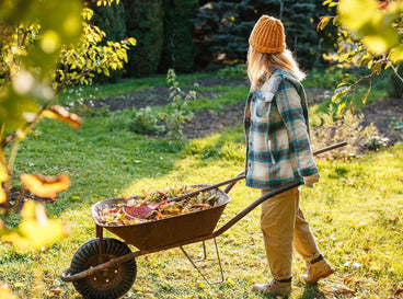 A girl pushing a wheel barrow filled with leaves meant to amend soil fall, part of work necessary to clean up and prepare the garden during fall