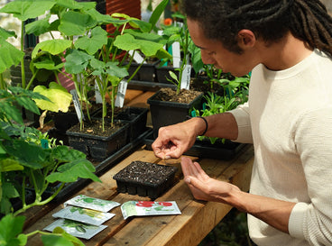 Sowing seeds indoors in cell trays with Epic Gardening and Botanical Interests seed packets.