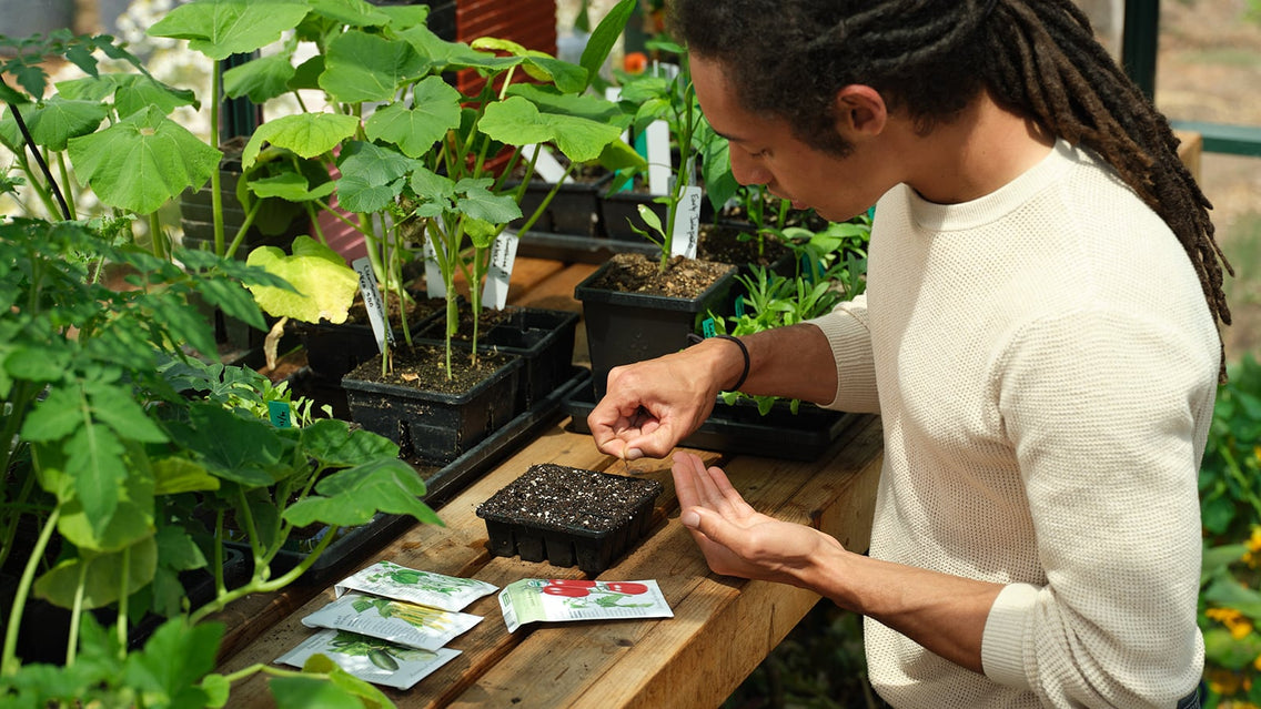 Sowing seeds indoors in cell trays with Epic Gardening and Botanical Interests seed packets.