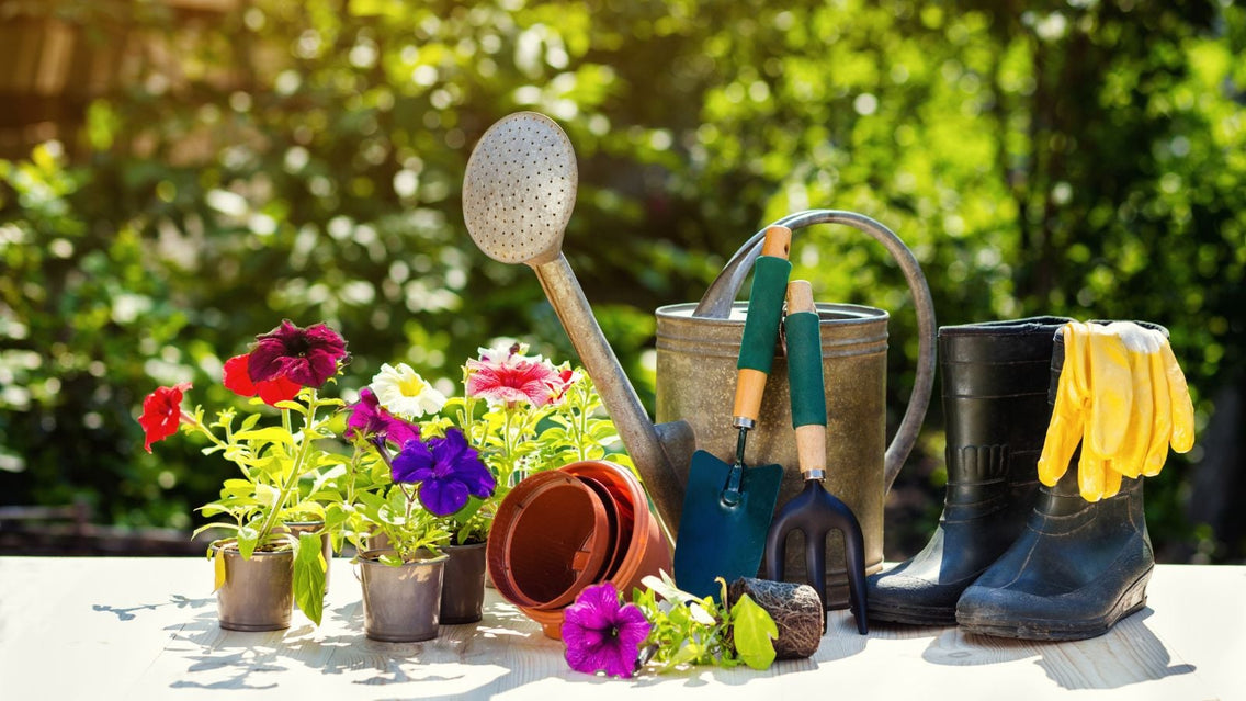 A shot of a composition of gardening tools and equipment, alongside flowers, showcasing late summer gardening tasks