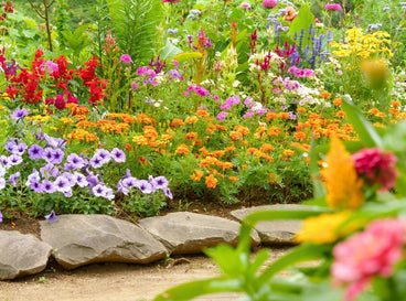 A shot of a composition of various developing flowers, showcasing hot dry plants